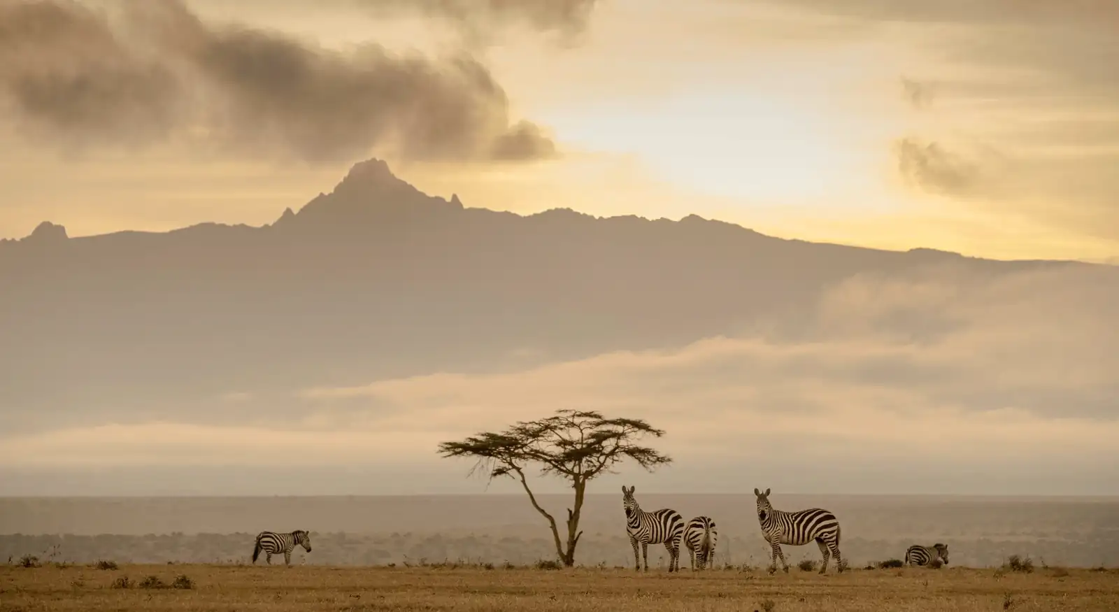 Open plains below Mount Kenya at first light
