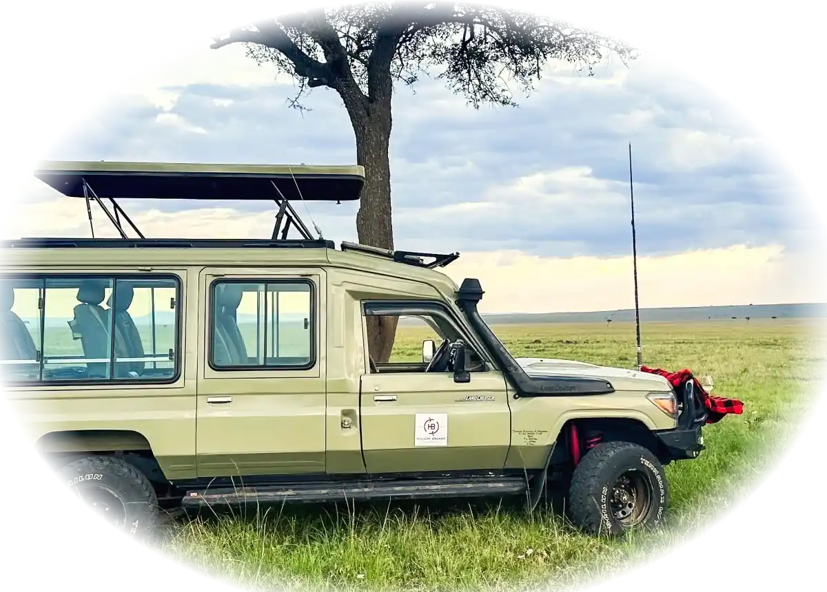 A Holiday Bazaar pop-top Land Cruiser waiting under an acacia