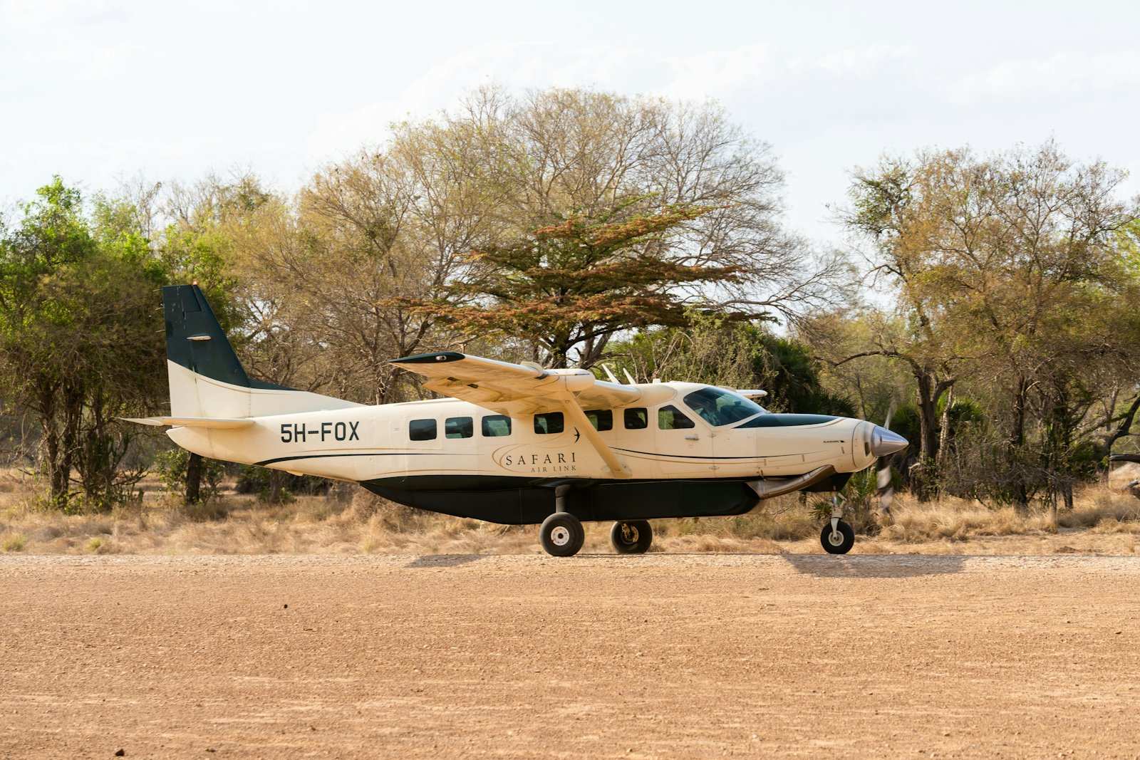 A light Cessna Caravan on a dirt bush airstrip, acacia scrub behind it