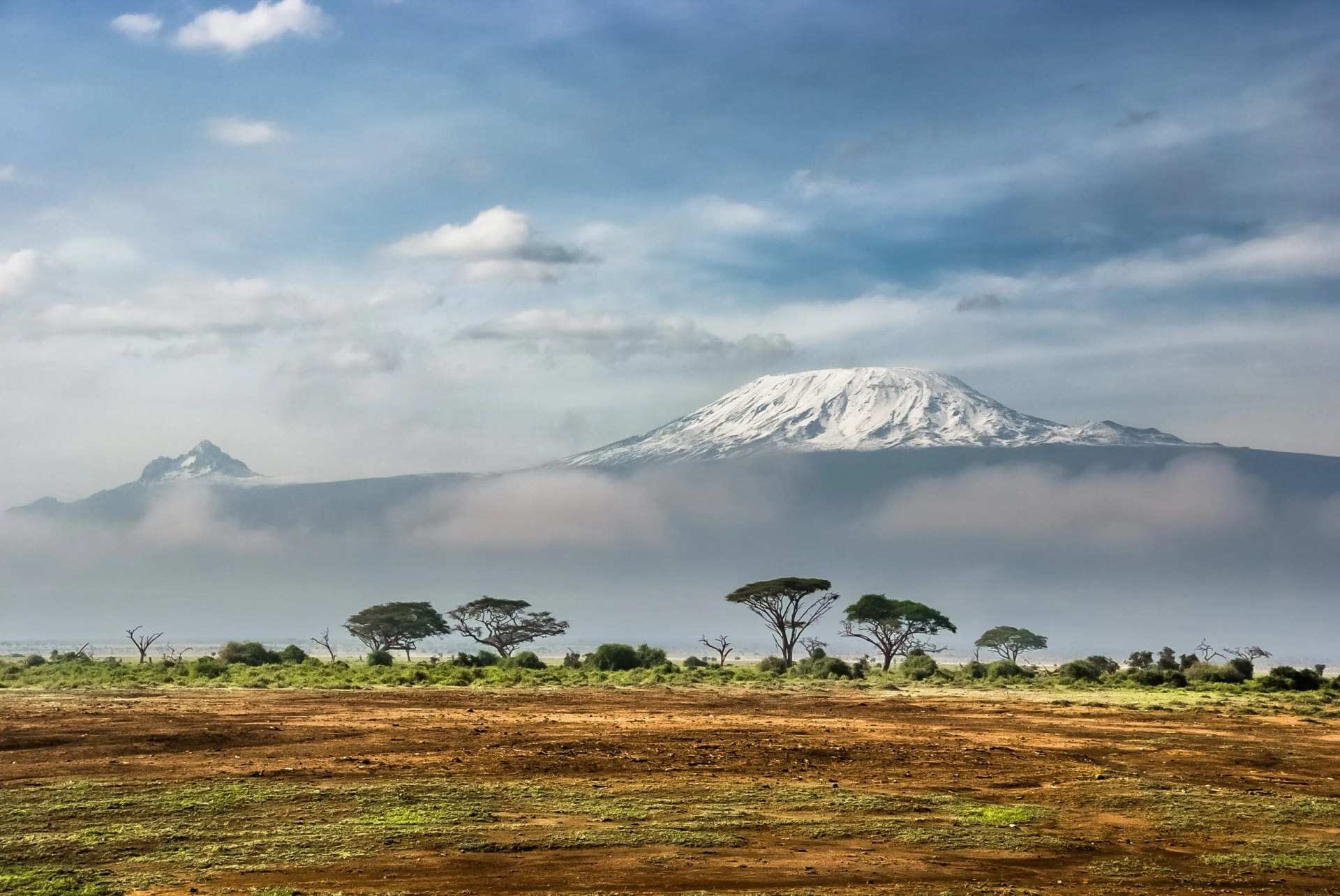 Kilimanjaro's snow cap above the plain beyond flat acacia scrub