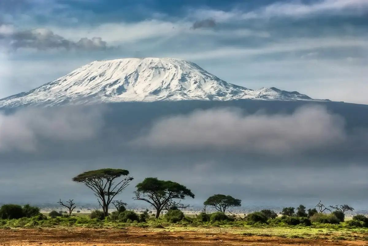 Kilimanjaro’s snow-capped summit above cloud, flat-topped acacias below