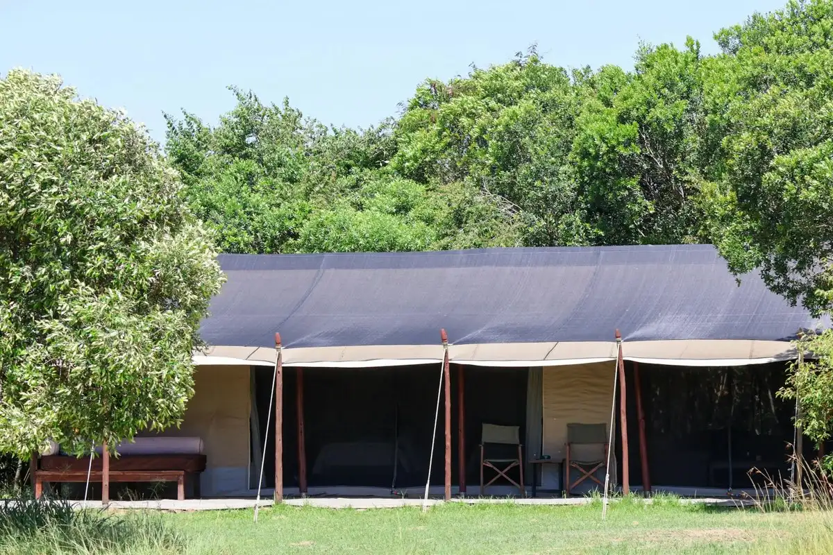 A canvas safari tent open to the bush, camp chairs set out in front