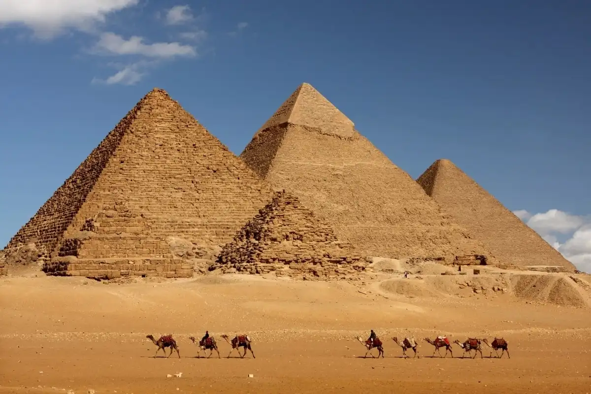 Camels crossing the sand in front of the pyramids at Giza