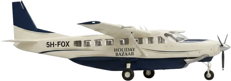 A high-wing light aircraft of the kind that flies to bush airstrips