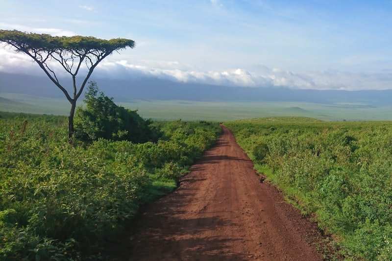 A red dirt track dropping toward the Ngorongoro crater floor, cloud spilling over the rim