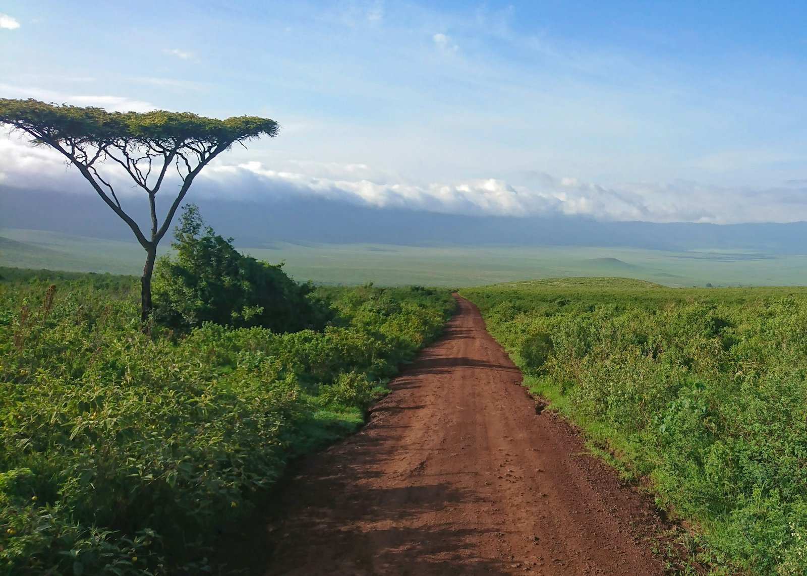 A red dirt track dropping toward the Ngorongoro crater floor, cloud spilling over the rim