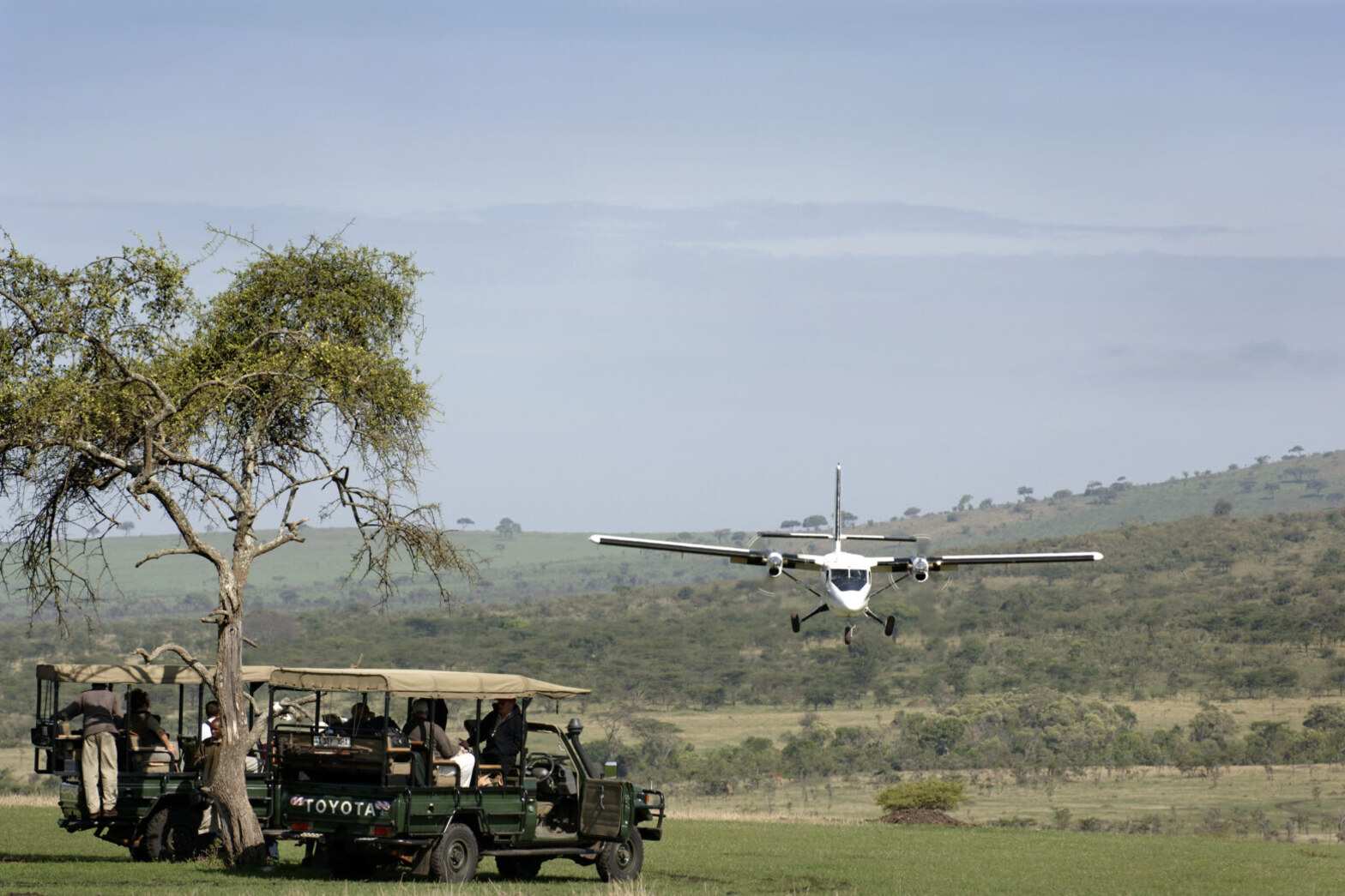 A light aircraft on a bush airstrip with an open-sided safari vehicle waiting under a tree in the foreground