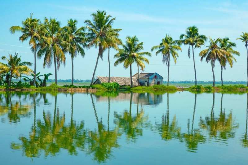 Coconut palms and a small house on a narrow bank at Kumarakom, mirrored in the still backwater