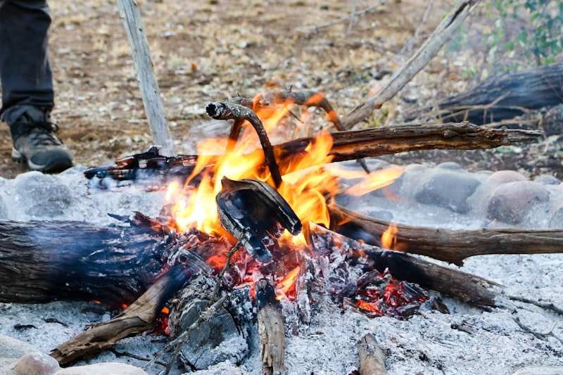 A campfire burning down to ash inside a ring of stones, dry bush beyond
