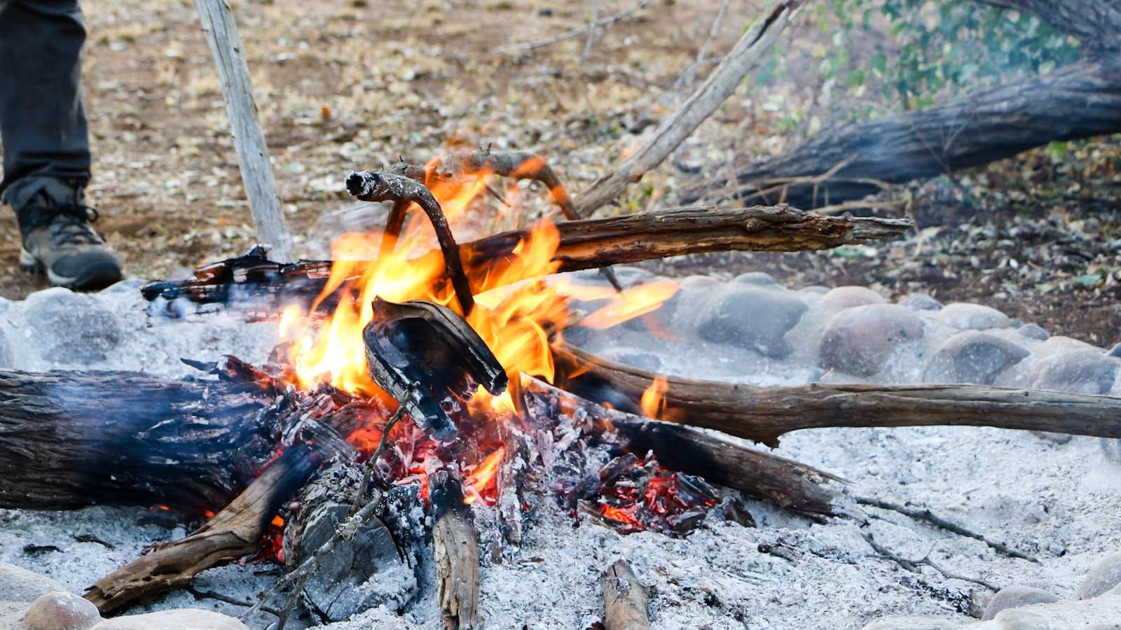 A campfire burning down to ash inside a ring of stones, dry bush beyond