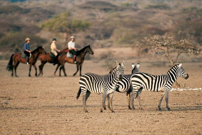 Riders on horseback halted on open ground while zebra graze in front of them