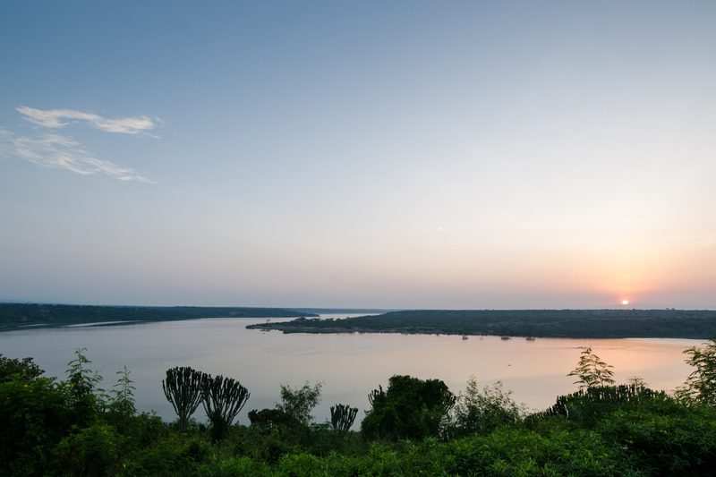 Elephants on the wooded bank of the Kazinga Channel, seen from the water