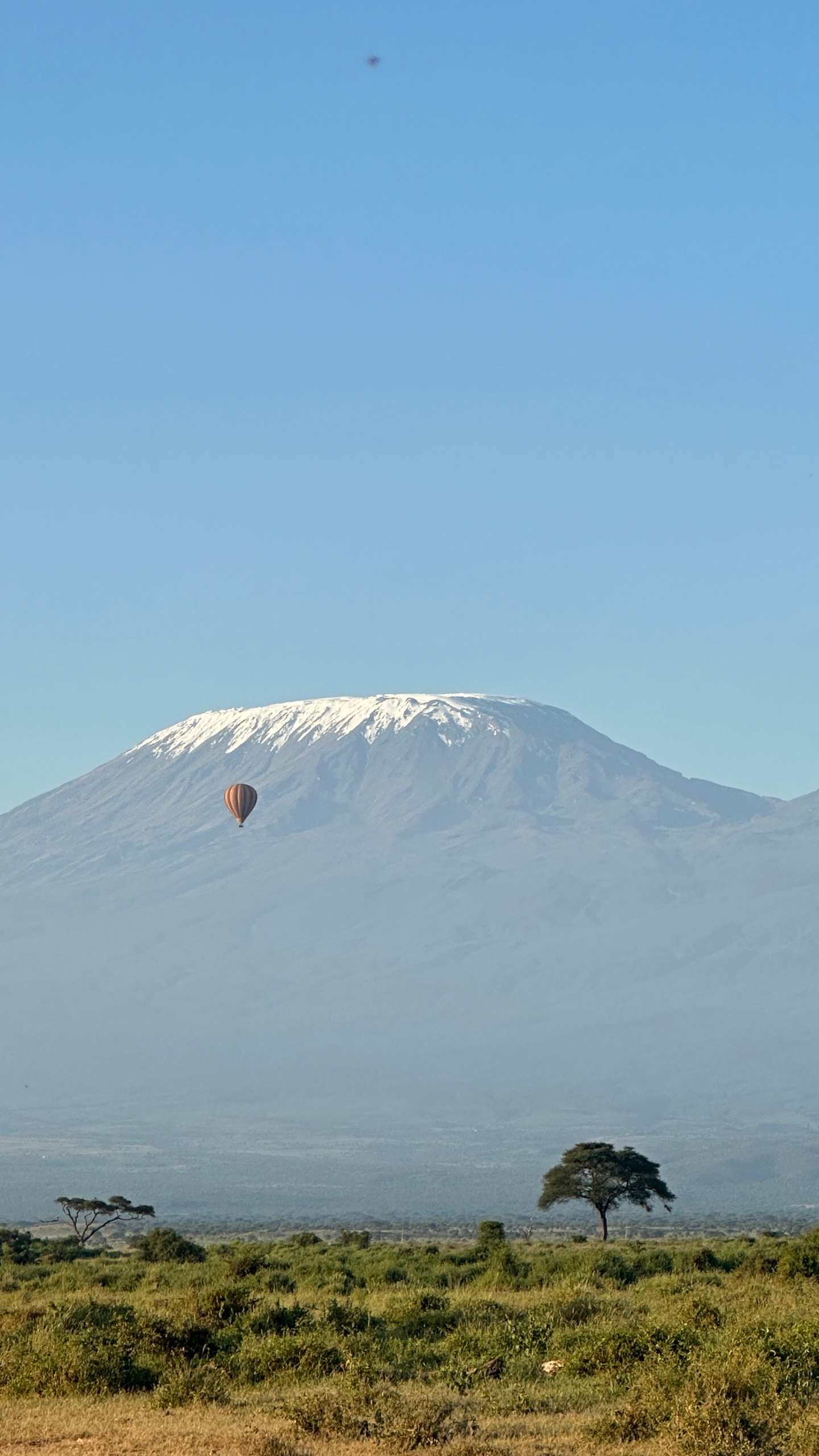 A hot-air balloon drifting below the snows of Kilimanjaro, above Amboseli's grassland
