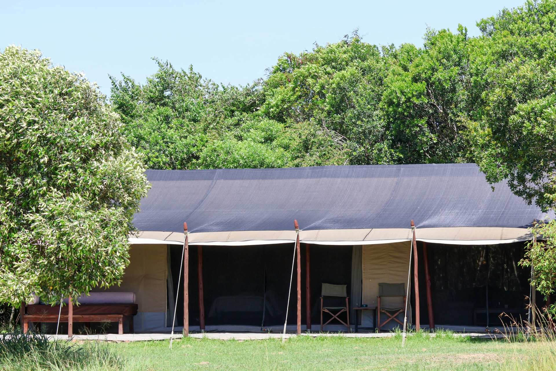 A canvas safari tent with a dark fly sheet, open-sided veranda with two director's chairs, set among green trees at Encounter Mara in the Naboisho Conservancy