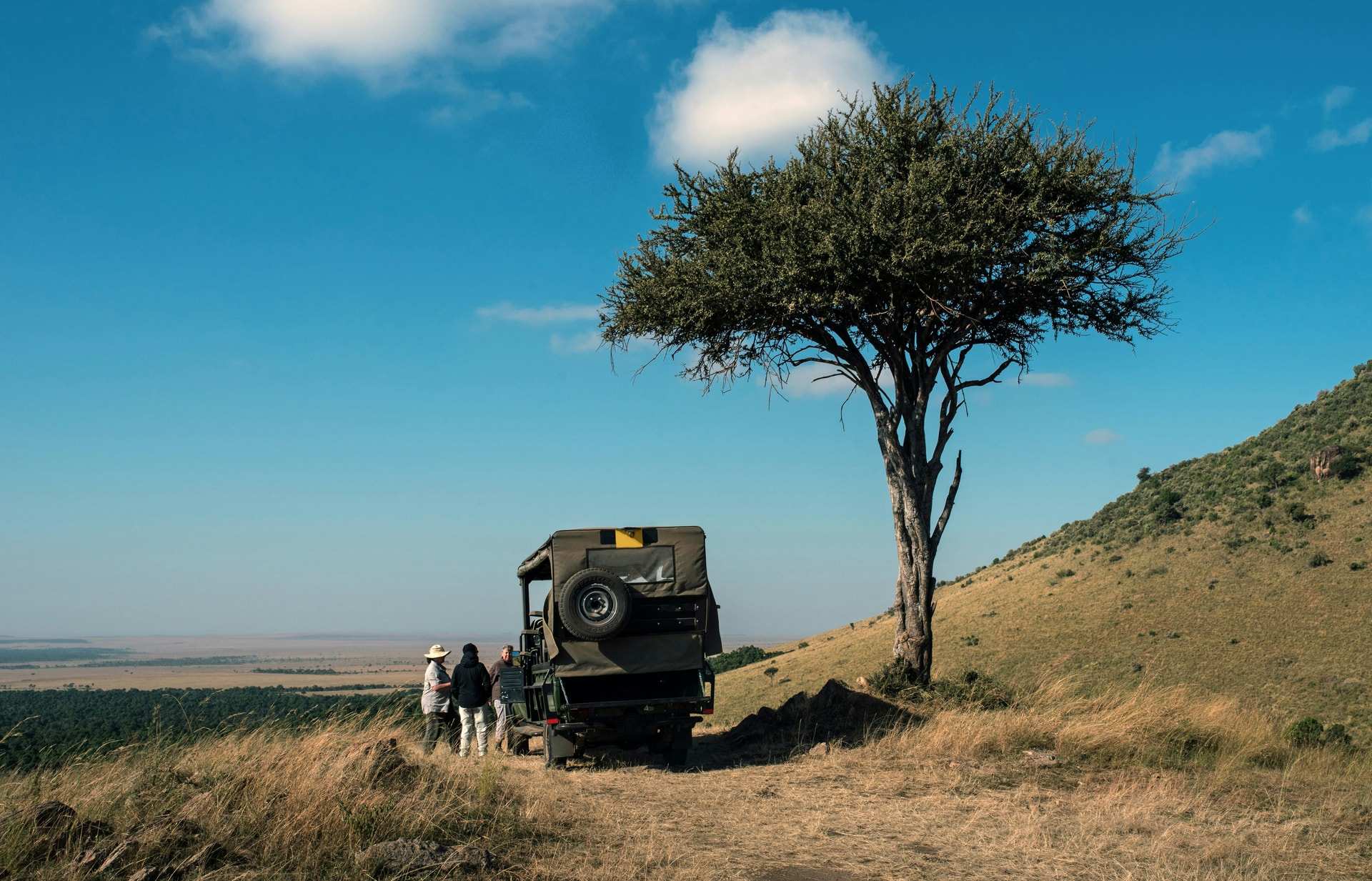 A safari vehicle parked beside a lone tree on a ridge above the Masai Mara plains, with a few people standing nearby