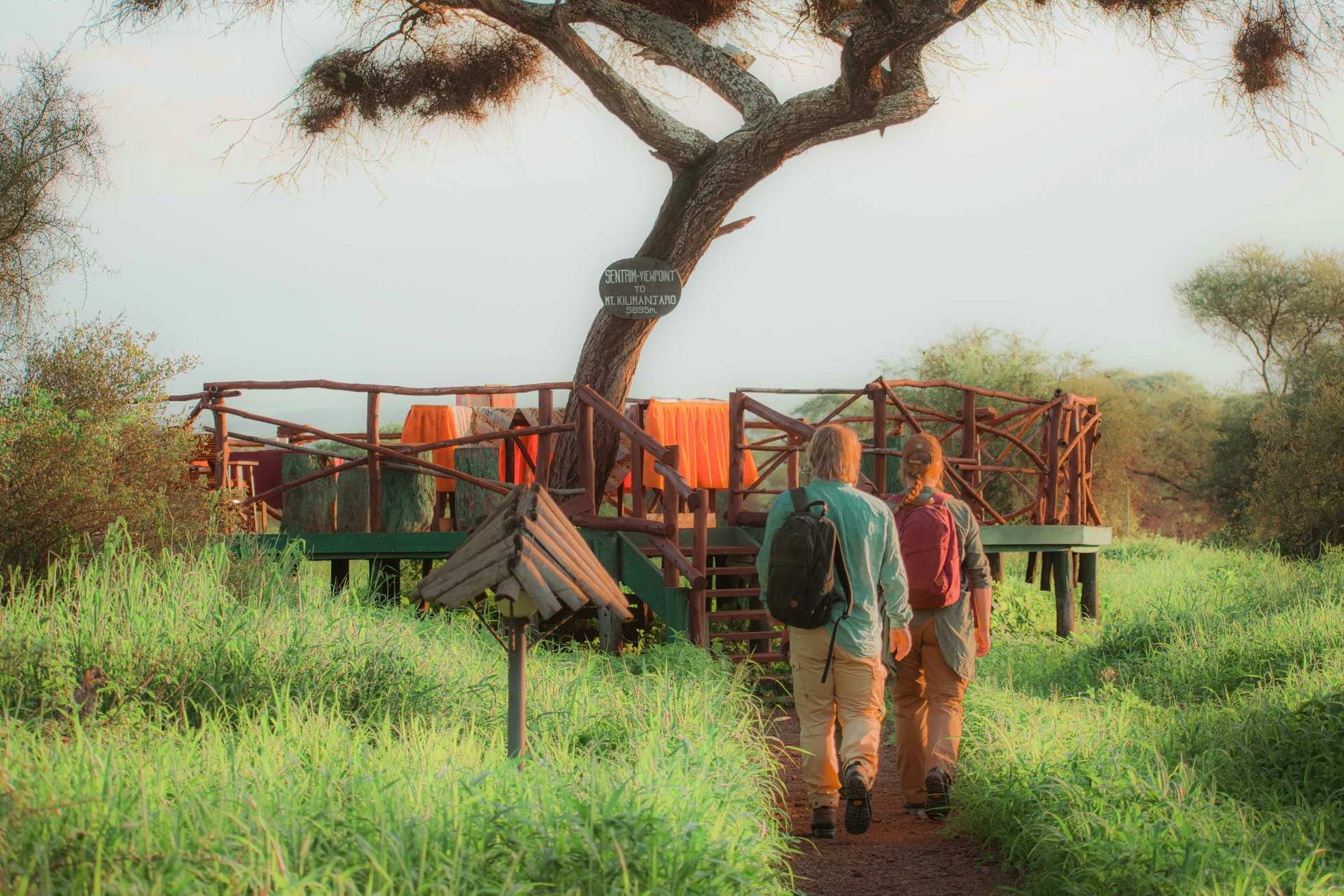 Two walkers in khaki follow a grass path towards a raised wooden viewing deck under a thorn tree in Kenya