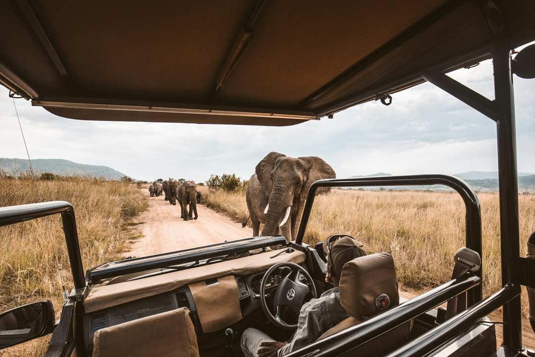 Pop Top Rook Kit Safari vehicles in Kenya: pop-top or open | Holiday Bazaar