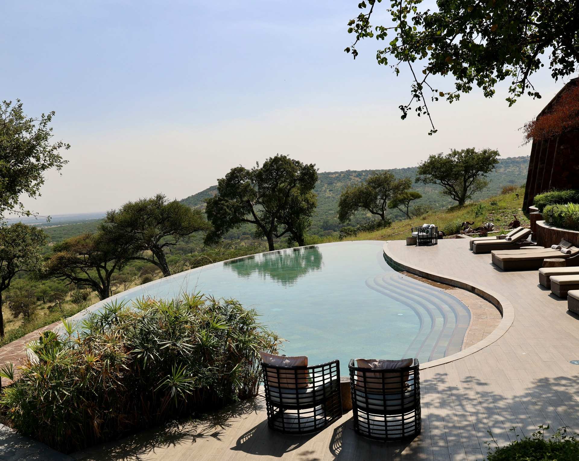 An infinity pool with loungers at a lodge in the Serengeti, looking out over trees and grassland