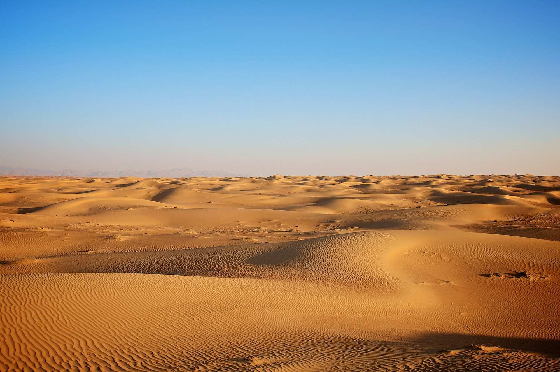 Rippled sand dunes running out to a hazy horizon in the desert outside Dubai, under a clear sky