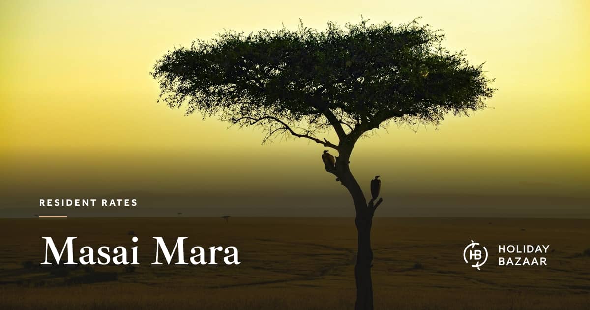 Right. Rate Image Masai Mara resident rates | Holiday Bazaar