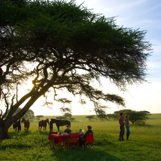 Kenya_Amboseli_Oldonyo_Horseback_safari3