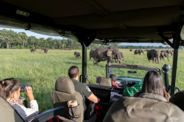 Kenya_Governors_Camp_Family Safaris_10