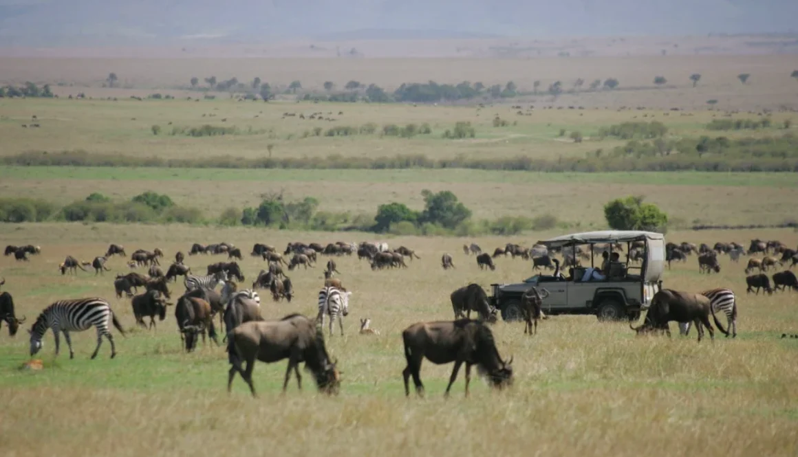 Kenya_Saruni_Mara_Game-driving-through-the-Migration