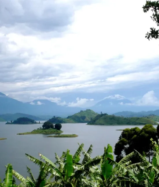 Nkuringo_bwindi_gorilla_lodge_0035-01