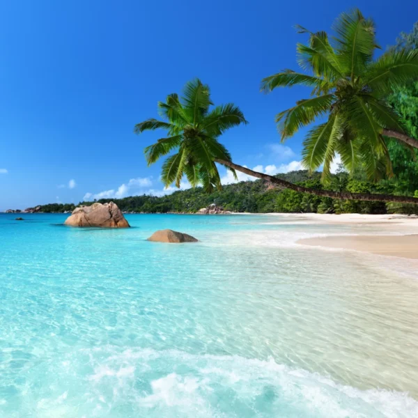 Seychelles_Canopy_by_Hilton_01