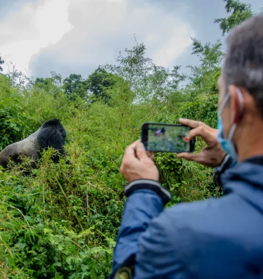 Gorilla_Trekking 5-01