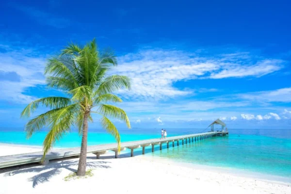 Mauritius beach under clear, sunny skies