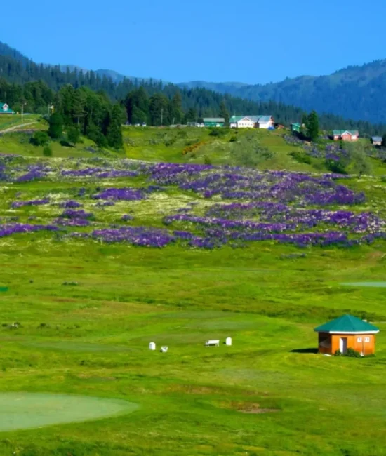 Gulmarg_3 Gulmarg_3
