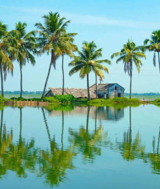 Morning_Landscape_from_Kumarakom_backwaters Morning_Landscape_from_Kumarakom_backwaters
