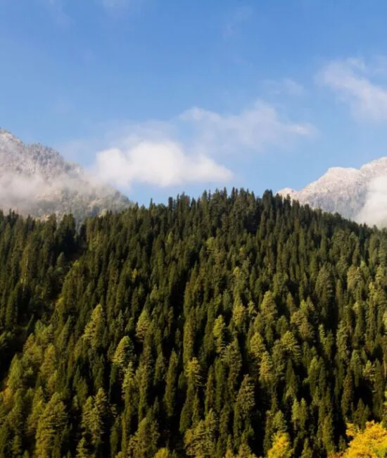 Pahalgam_1 Pahalgam_1
