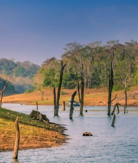 Periyar_National_Park_Thekkady Periyar_National_Park_Thekkady