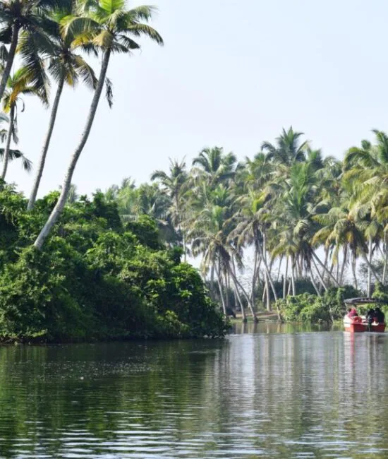 Poovar_island_trivandrum Poovar_island_trivandrum