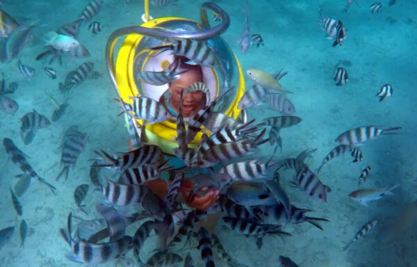 Underwater_Sea _Walk_Mauritius